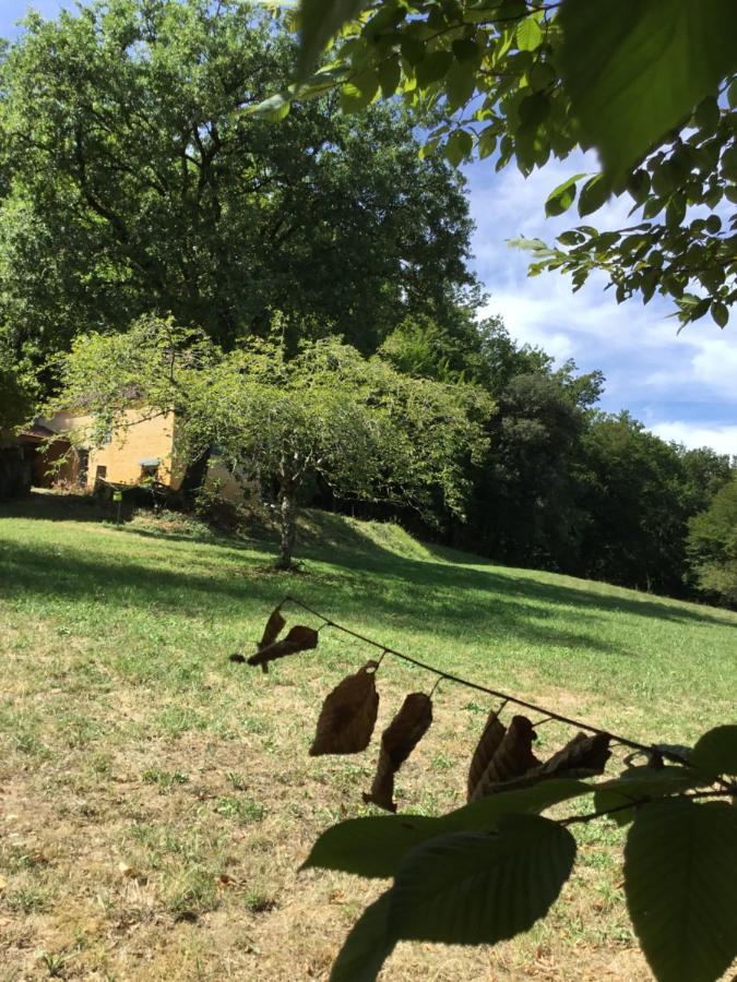 Logis Des 4 Fees Et Son Bain Nordique Villa Sainte-Nathalène Екстериор снимка